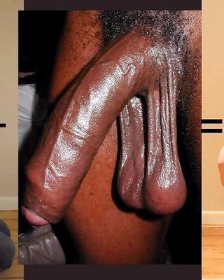 Black Bred W Captions Porn Pictures Xxx Photos Sex Images Pictoa