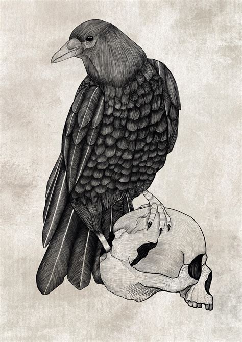 Black Crow by BlackCrowArt98 on DeviantArt