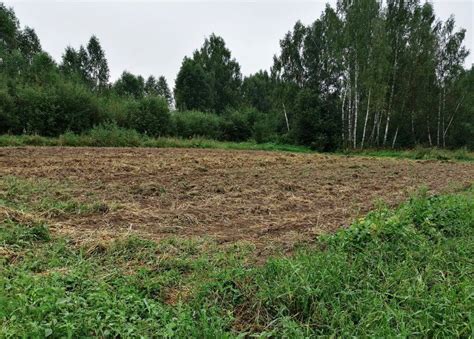 Картошка 2020 | Bayoun.ru хороший урожай 2020 года