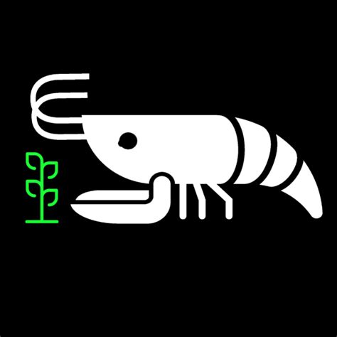 Marks Shrimp Tanks