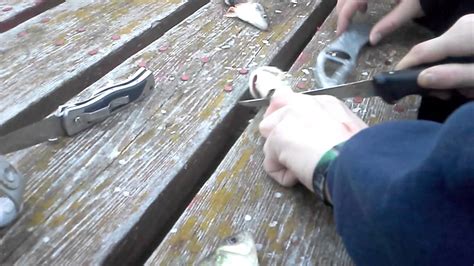 How To Clean Perch Youtube