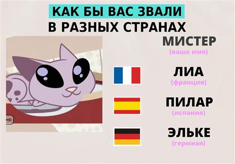 Мистер Кет | ВКонтакте
