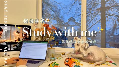 2 Hour Study With Me 阴天夜间专注 平静LOFI节拍让你专注Pomodoro 50 10 蟹老板轩 学习纯