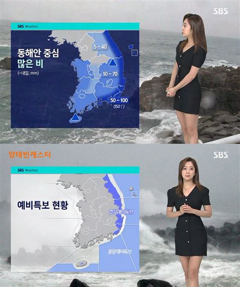 중부 낮부터 저녁까지 강한 소나기미세먼지 좋음 전국 대부분 소나기 유머움짤이슈 에펨코리아