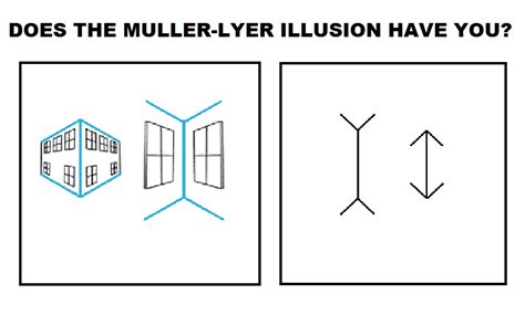 Muller Lyer Illusion Image / Muller Lyer Illusion Practical Solved ...