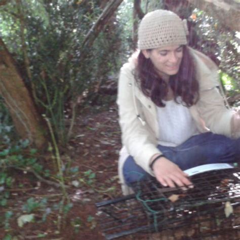 Joana Guerreiro Master Of Biology Of Conservation Universidade De