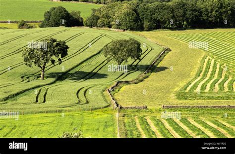 Silage Patterns Hi Res Stock Photography And Images Alamy