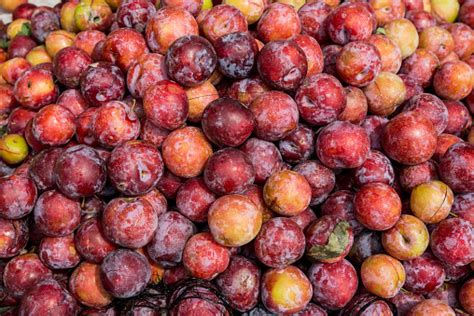 Plums Fruit Stock Photo Top View Challenging Fruit Red Color Fruit ...