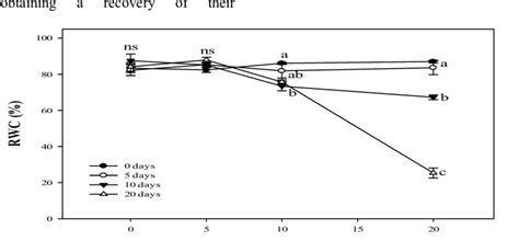 Effect Of Four Periods Of Water Deficit On Leaf Relative Water Content