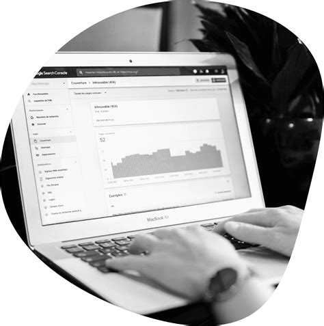 Online Advertising Services in Guelph | Topsite Search & Social Ads