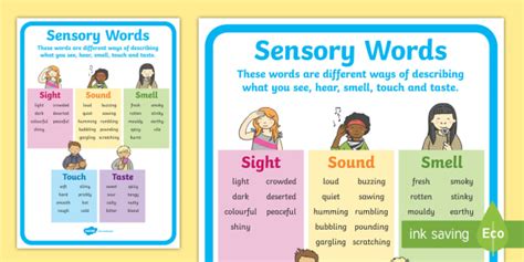 Sensory Words Display Poster (Teacher-Made)