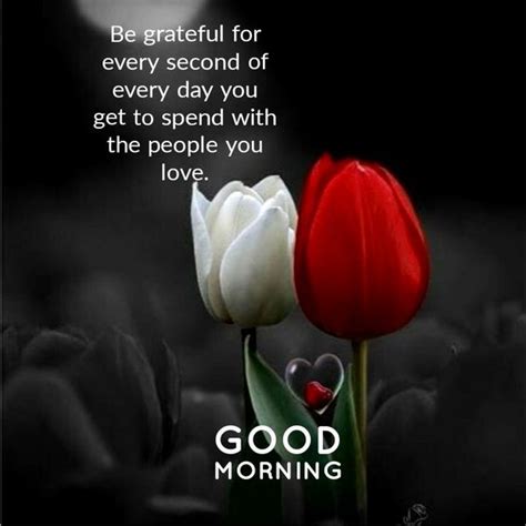 Red And White Love Flowers For Morning Images Good Morning Images Quotes Wishes Messages