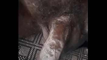 Should I Remove My Pubic Hair Before I Fuck You XVIDEOS