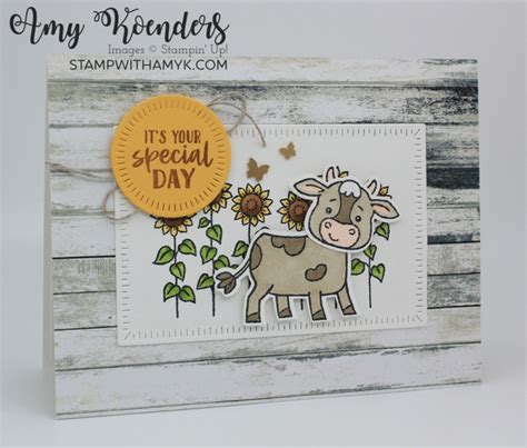 Stampin Up Cutest Cows Special Day Card Stamp With Amy K