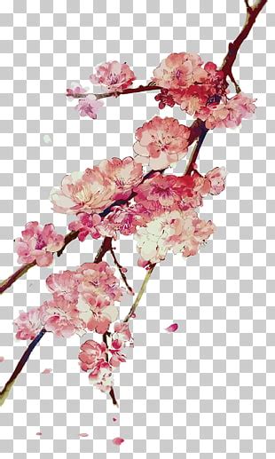 Cherry Blossom Tree Drawing Easy At Paintingvalley Explore