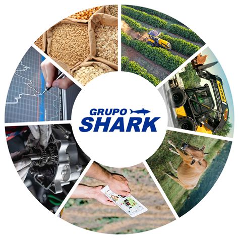 Home - Grupo Shark