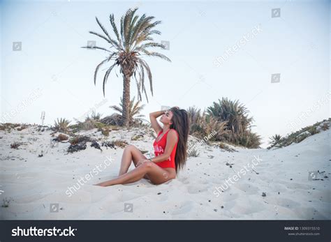 Lovely Sexy Brunette Girl Swimsuit Posing Stock Photo Shutterstock