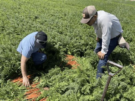Living Our True Organic Sustainable Values