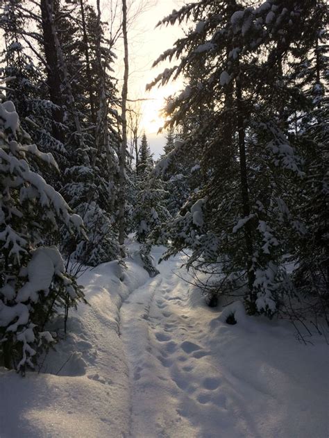 Pin By Debbie Compton On The Quiet Season Nature Photos Landscape