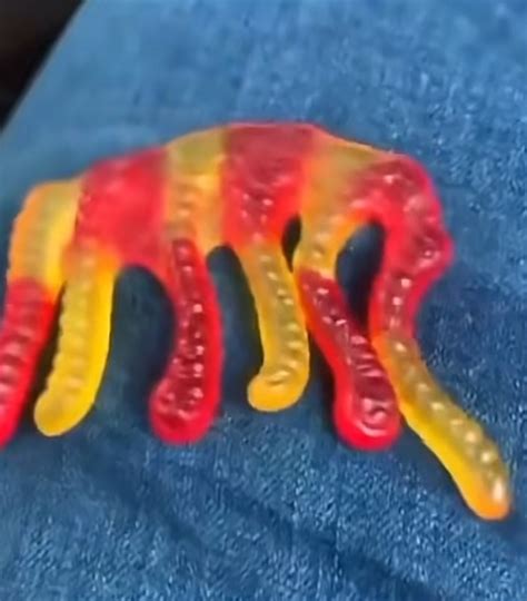 I Found A Gummy Elephant In My Pack Of Gummy Worms Rmildlyinteresting