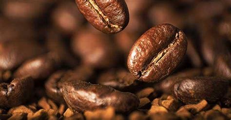 Di Pasar Global Kopi Robusta Dan Arabica Melonjak Tinggi Di Tahun