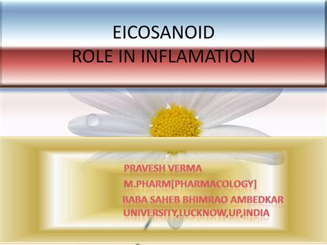 Eicosanoid Ppt