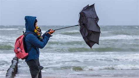 Pogoda Na Dzi Roda Wiatr Chwilami Powieje Silnie Tvn Meteo