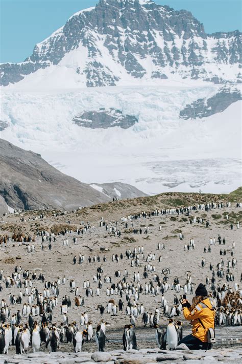 Antarctica Cruise | 9 Things to Know before taking a Trip to Antarctica ...