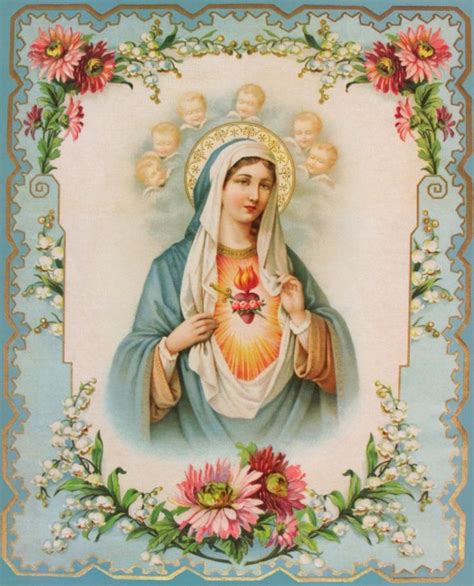 Mary Most Immaculates Please Pray For Us With Flowers And Roses Around