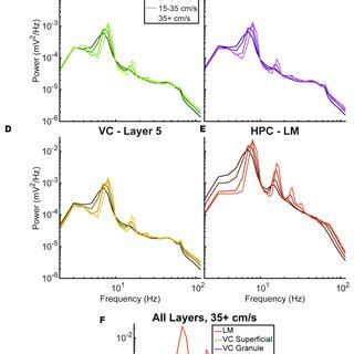 Theta And Average Power Spectral Density In The Visual Cortex And