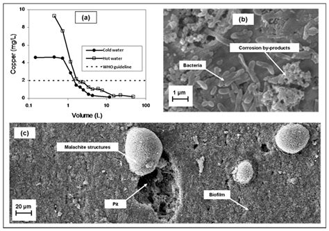 Materials Free Full Text Copper Corrosion And Biocorrosion Events