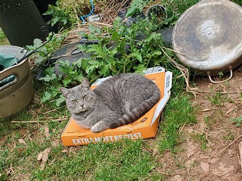 6023 Best Lounging Images On Pholder Room Porn Hardcoreaww And Cozy