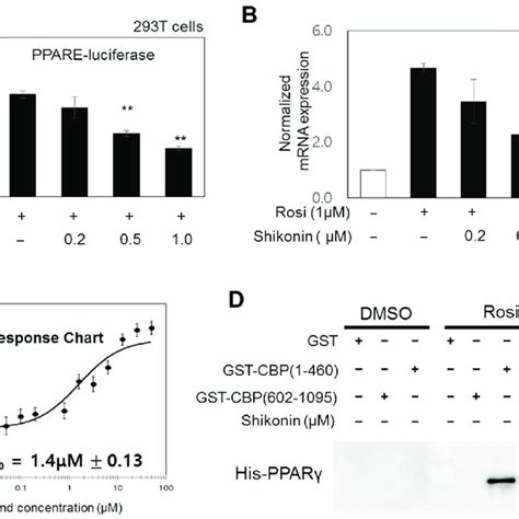 Antagonistic Effects Of Shikonin On Ppar Regulation A Results Of