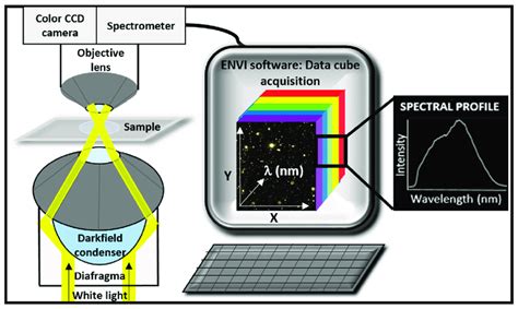 Generalized Diagram Of The Hyperspectral Enhanced Dark Field Microscopy