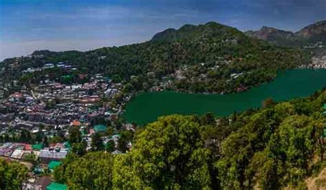 Birla Vidya Mandir Nainital Archives Kafal Tree