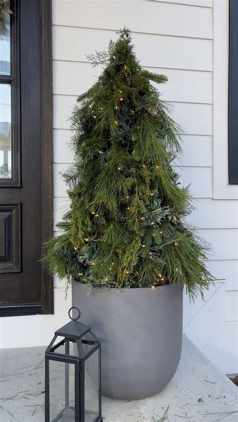 christmas tree tomato cage 5
