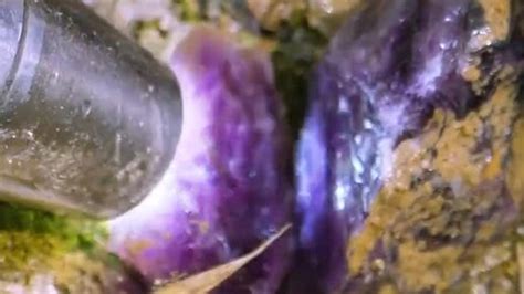 Kamni | Копаем драгоценный камень в горе | Дзен