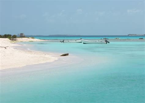 Best Beaches In Venezuela Daring Planet