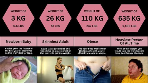 human body   weights comparision tv youtube