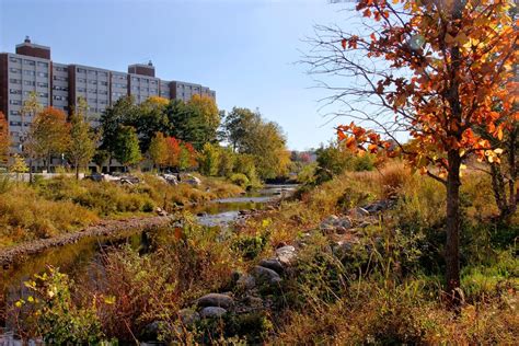 mill river park greenway ground control