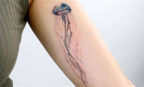 Tatuajes De Medusas Recopilaci N De Dise Os Y Significado Tatuajes