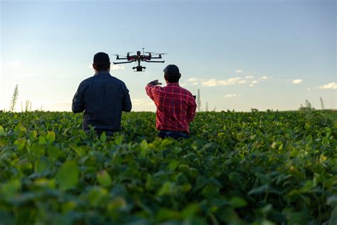 Como Os Drones Podem Auxiliar Nas Tomadas De Decis O Na Agricultura