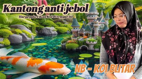 Kantong Anti Jebolreview Harga Paket Ikan Koi Di Markas Nb Koi Blitar