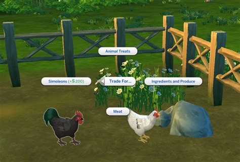 Ts4 Chickens The Ultimate Guide On Cleaning And Caring For Them