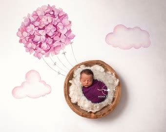 Hot Air Balloon Newborn Digital Background Newborn Digital Etsy