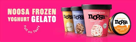 Amazon Noosa Frozen Yogurt Gelato Sea Salt Caramel Icious Fl