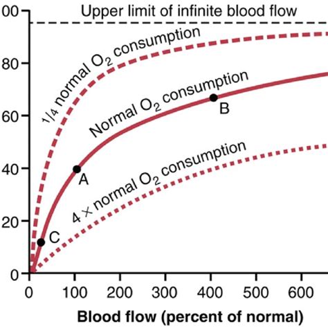 Effect Of The Blood Flow And Rate Of Oxygen Consumption On Tissue Po