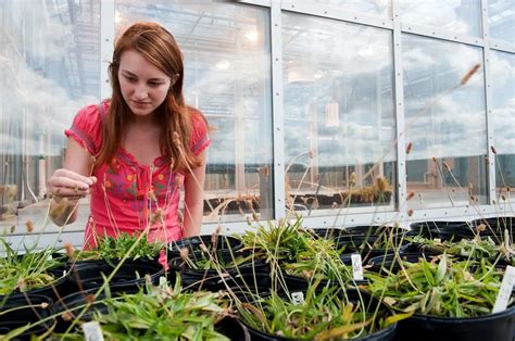 Sex Selection And Biodiversity Syracuse University