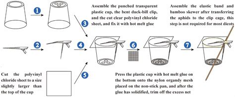 Insects Free Full Text Construction Of A Modified Clip Cage