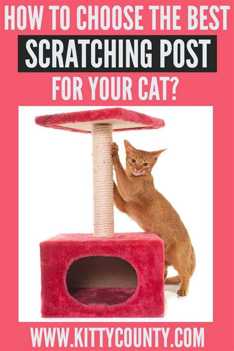 Definitive Guide On How To Choose Best Scratch Post For Cats 2021